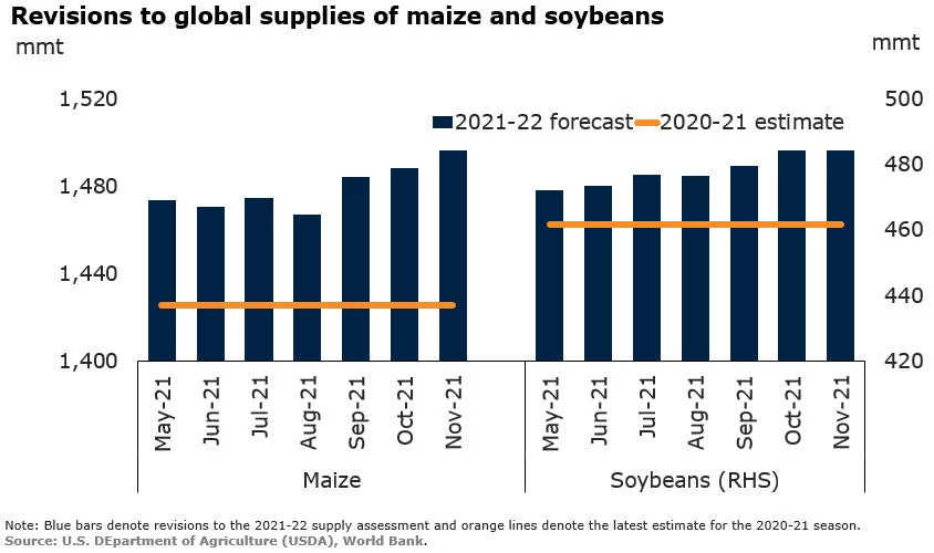 Revisions to global supplies of maize and soybeans