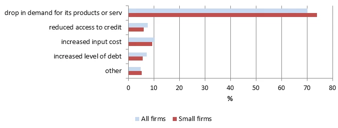 Figure 1: Main effects of the crisis, by firm size