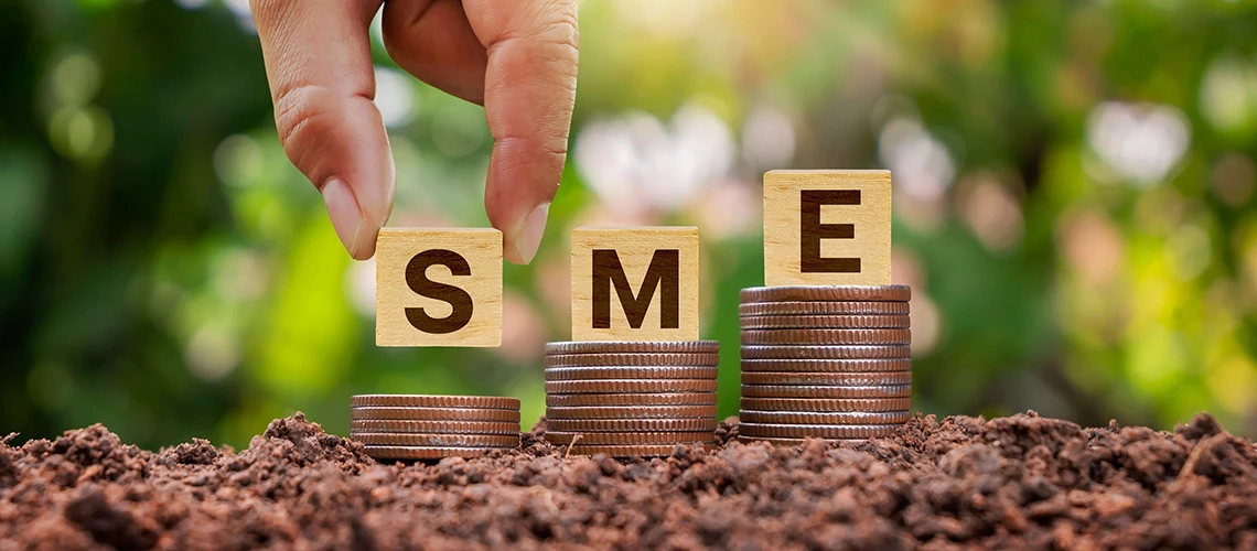 Do loans help small businesses grow? Looking beyond microfinance
