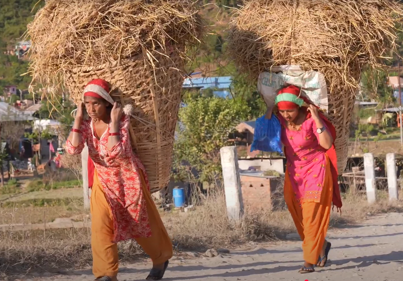 EvalVision | Evaluation of GEF Support for Nature-based Solutions