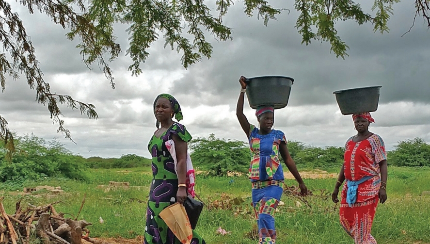 Evaluation of the Multiple Benefits of GEF Support through Its Multifocal Area Portfolio (MFA)