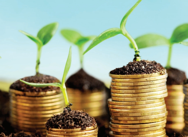 A Value for Money Analysis of GEF Interventions in Land Degradation and Biodiversity