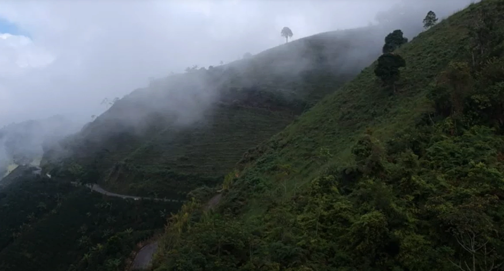 Biodiversity Evaluation 2018 - Colombia