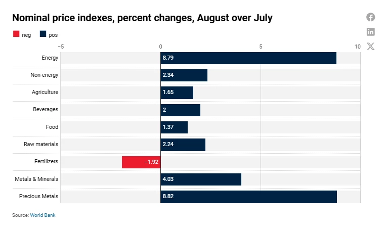 Commodity prices rose in August—Pink Sheet