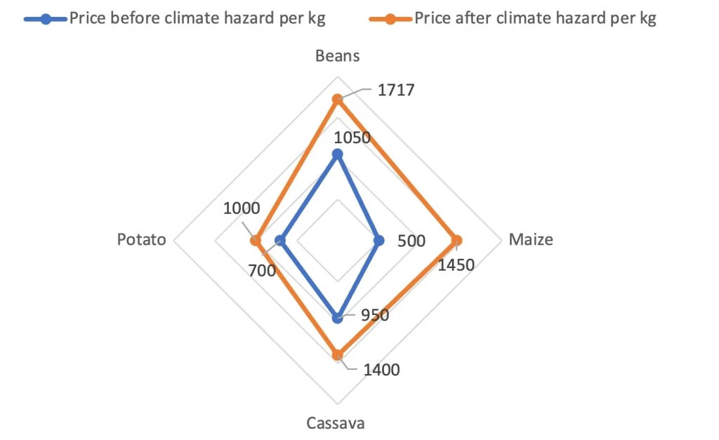 Food price inflation reported after climate shock
