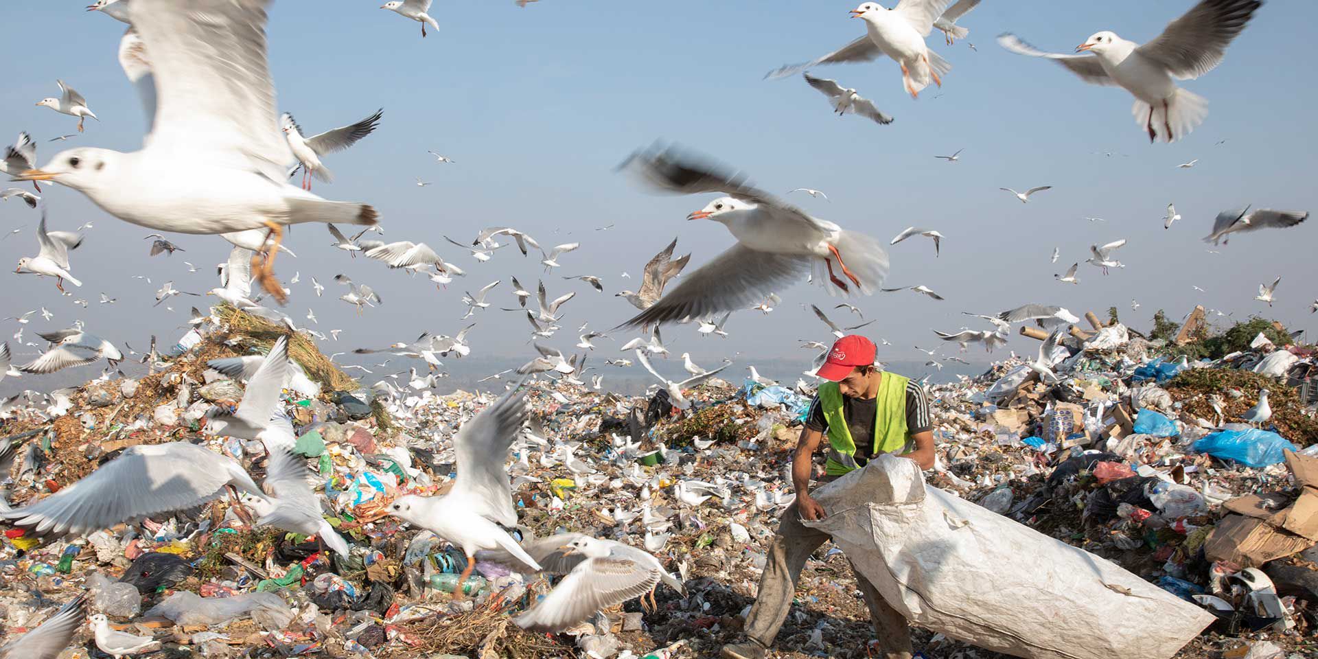 Waste pickers work long days diligently collecting recyclable material at the Vin?a Landfill in Belgrade, Serbia, on October 28, 2019. Vin?a Landfill is one of the largest uncontrolled trash dumps in Europe. The city of Belgrade disposes its medical waste, construction waste, and city garbage in the dump. It is currently slowly sliding towards the Danube River with leachate water that is filled with high levels of metal. Photo © Dominic Chavez/International Finance Corporation