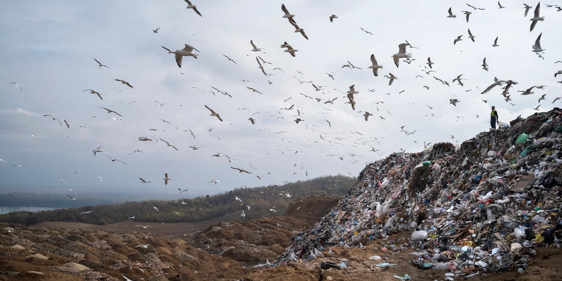 On October 31, 2019, a waste picker looks toward the Danube River while working at the Vinča Landfill in Belgrade, Serbia. The landfill’s trash is rolling toward the Danube, and is leeching toxic water into the water supply. Photo © Dominic Chavez/International Finance Corporation
