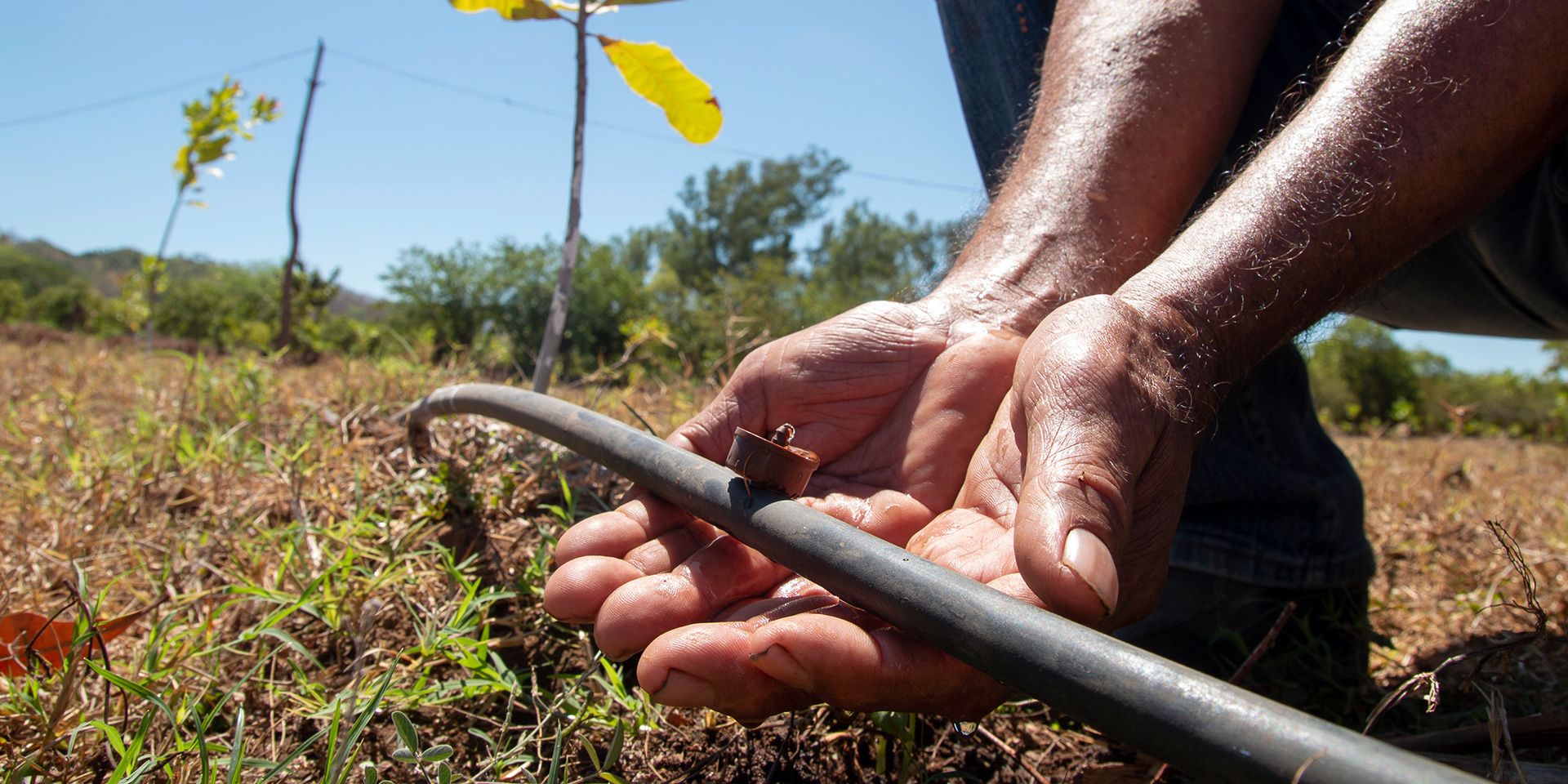 Man hands checking a valve in his irrigation water system 