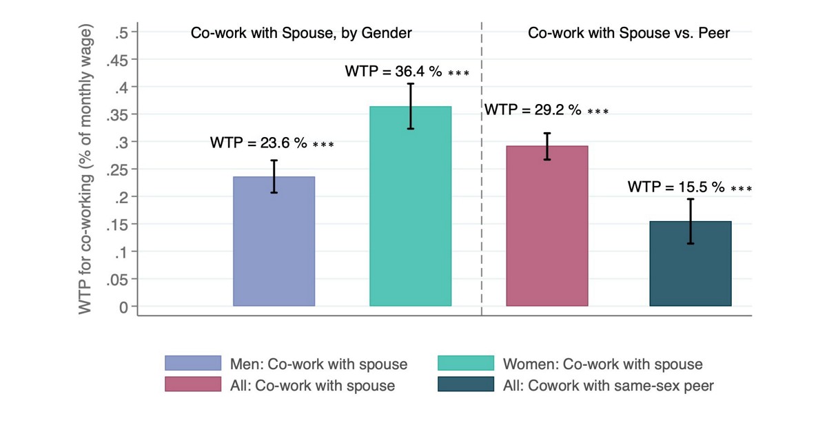 Navigating risky jobs: Why married couples choose the same employer in urban India. Guest post by Shreya Tandon