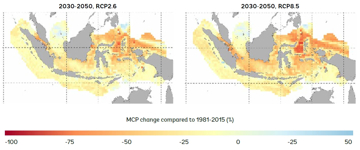 The projected catch of fish species in Indonesian waters under climate change