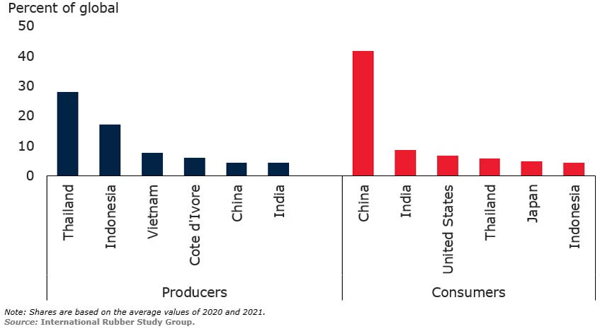 Top producers and consumers of natural rubber