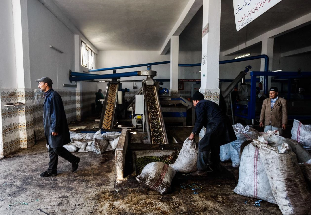 Tunisia factory packaging workers in Douar Hichr