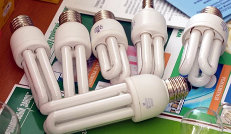 An array of energy efficient light bulbs.