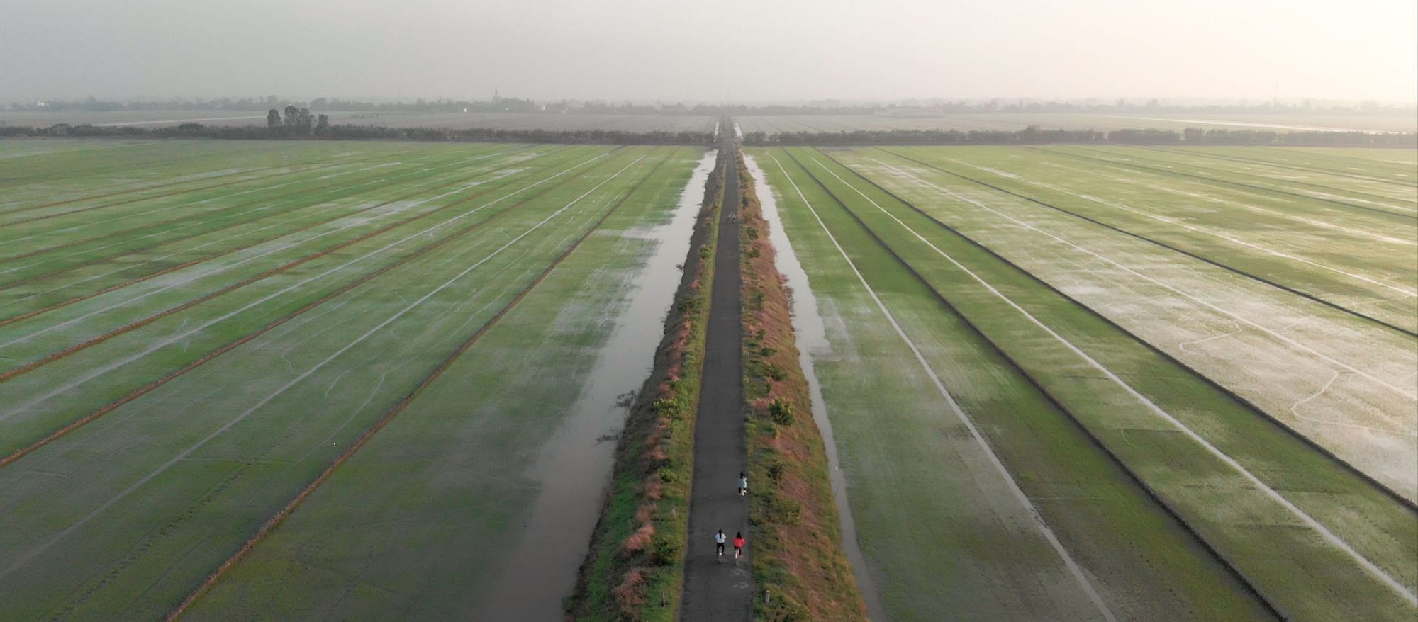 Smart Development: Delivering Wins for Jobs and Climate