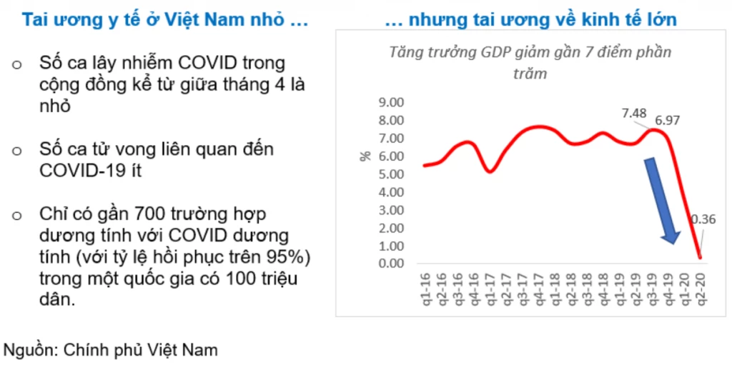 Tai ??ng y t? ? Vi?t Nam nh?... nh?ng tai ??ng v? kinh t? l?n