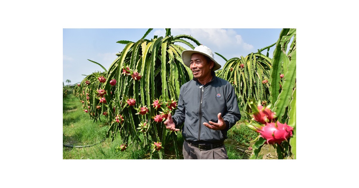 When disasters strike farms, what can protect farmers and lenders?
