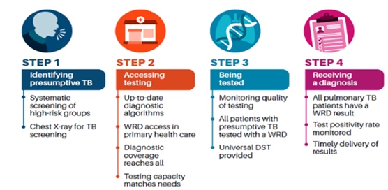 The WHO; WRD=Rapid Diagnostic Tests; DST= Drug Susceptibility Testing