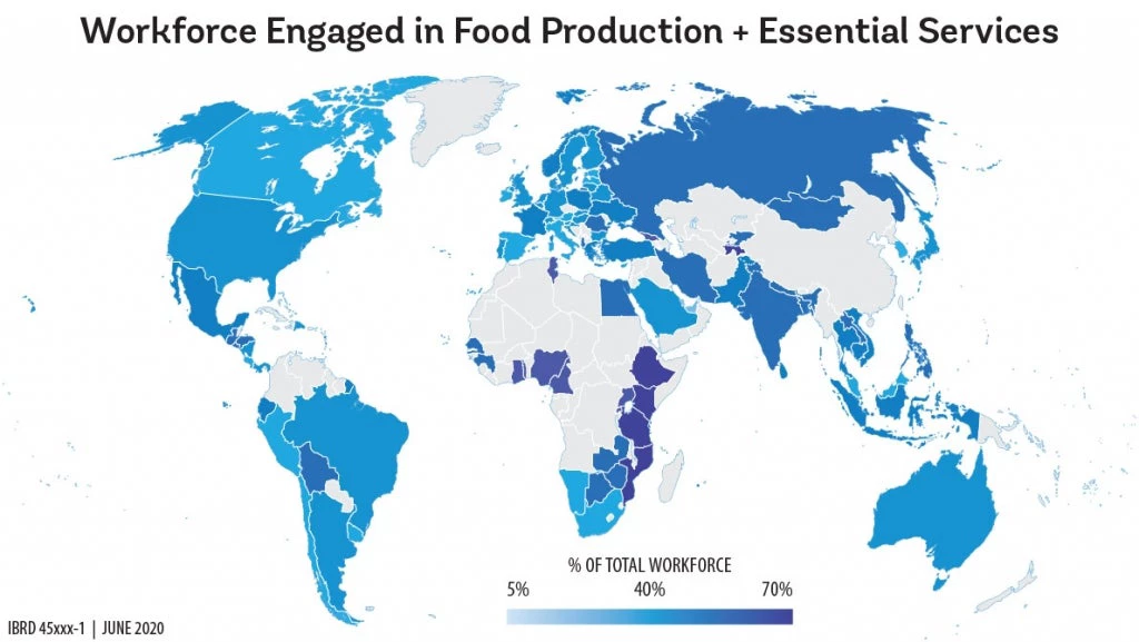 Workforce engaged in food production + essential services map 