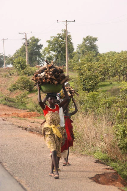 Women carrying firewood to sell at a local market in Kaduna, Nigeria. Photo - ©IFPRI/Ian Masias.