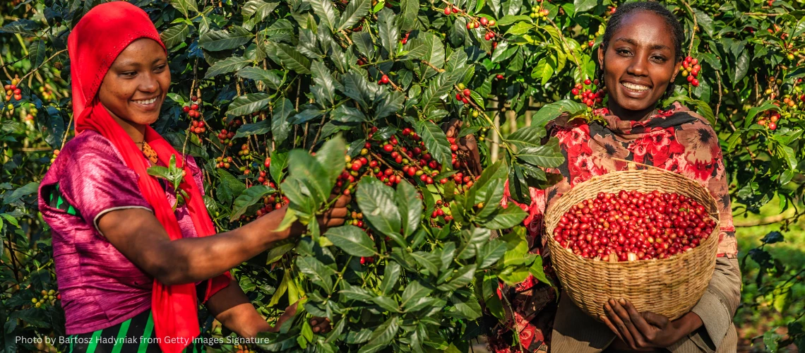 Preventing deforestation while leveraging trade for development
