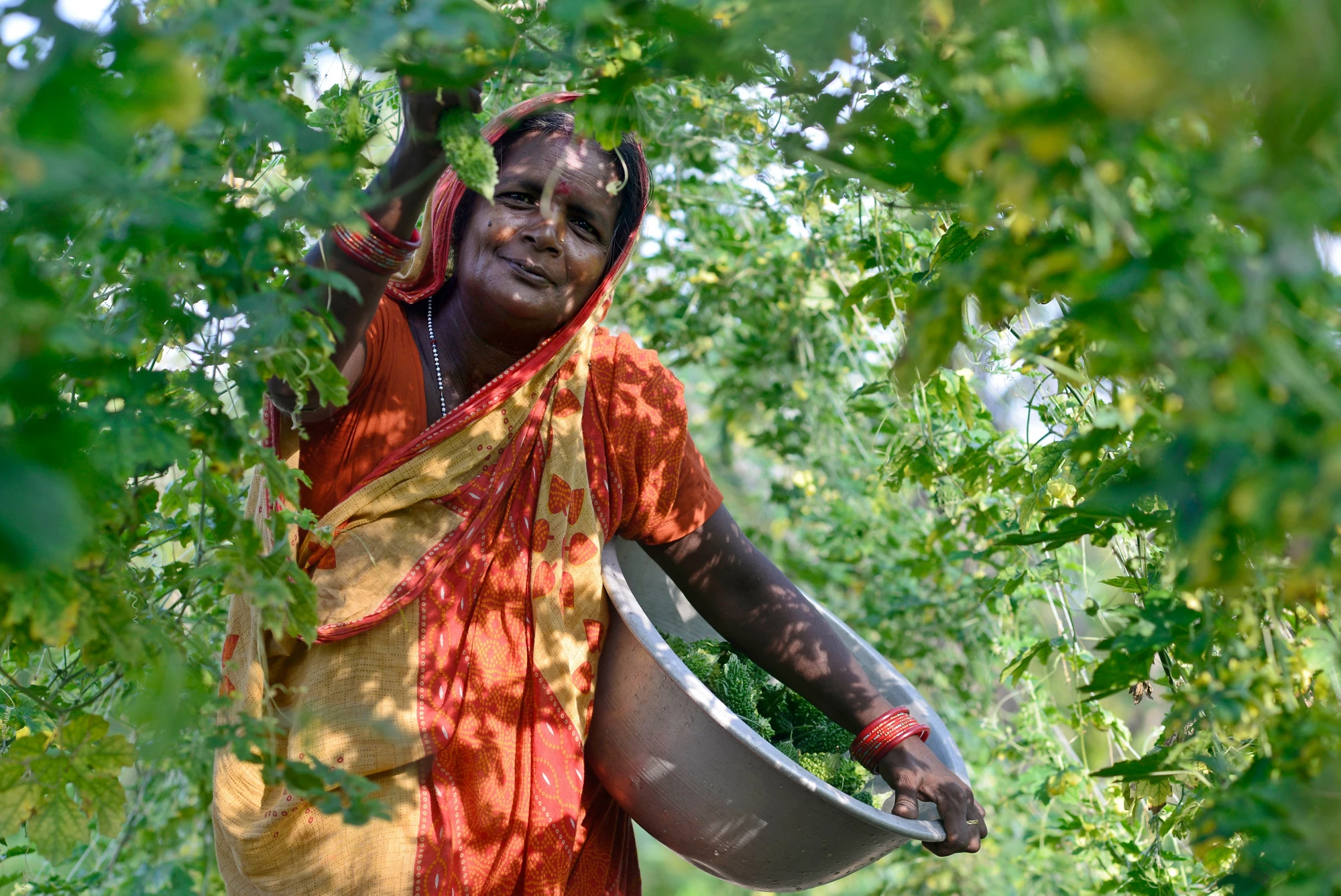 Invisible Farmers: Why recognizing and supporting women farmers is key to  food and nutrition security