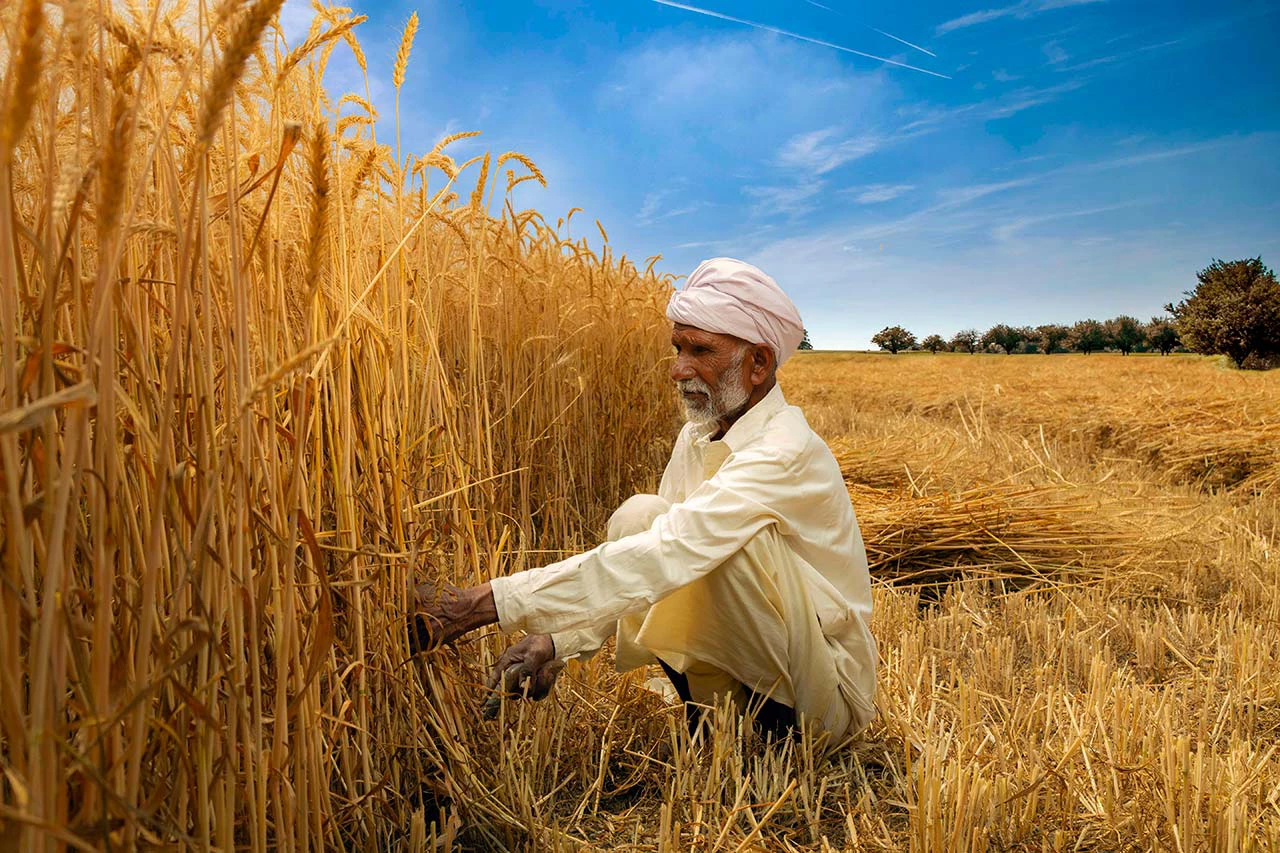   How Private Sector Tech is Empowering Farmers in Pakistan