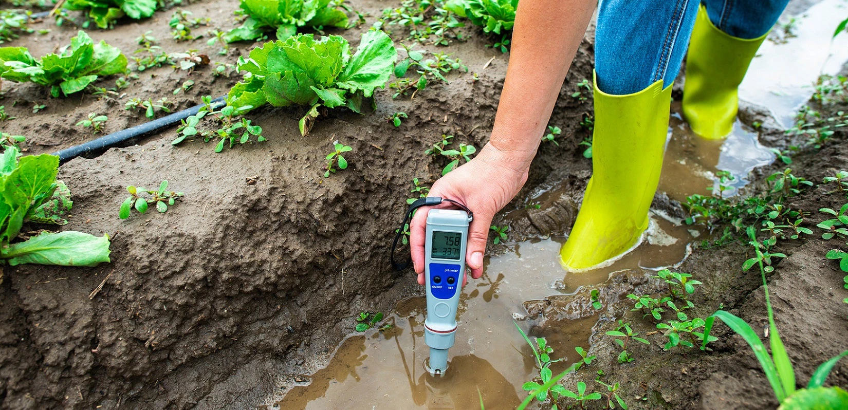 Woman measures irrigation water with digital PH meter in watering canal. Photo Credit: © [Deyan Georgiev] / Adobe Stock