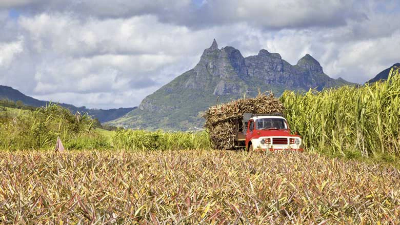 Agricultural fields in Mauritius. Photo: Shutterstock