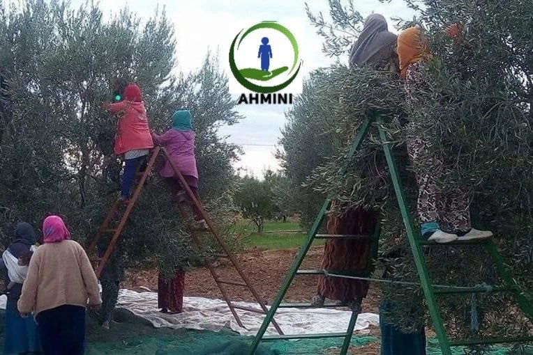 Photo de femmes rurales travaillant dans l?agriculture. Crédit: L?entreprise Ahmini 