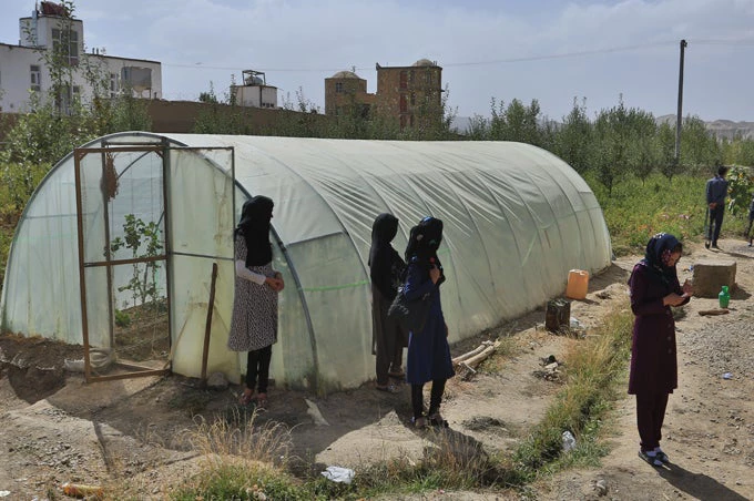 National Horticulture and Livestock Project has helped farmers learn and implement modern farming methods.