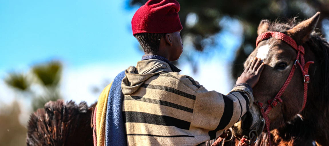 A young man places his hand on a horse?s face. Photo credit: Melusi Ndhlalambi/ World Bank