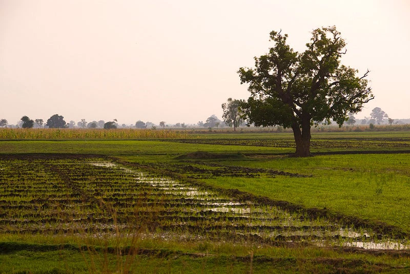 Photo: Arne Hoel, The World Bank