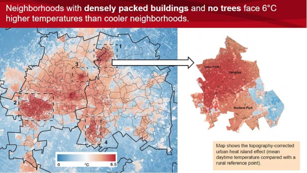 Neighborhoods with densely packed buildings and no trees face 6°C higher temperatures than cooler neighborhoods.