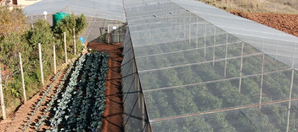 Saisir les opportunités de l’agriculture africaine