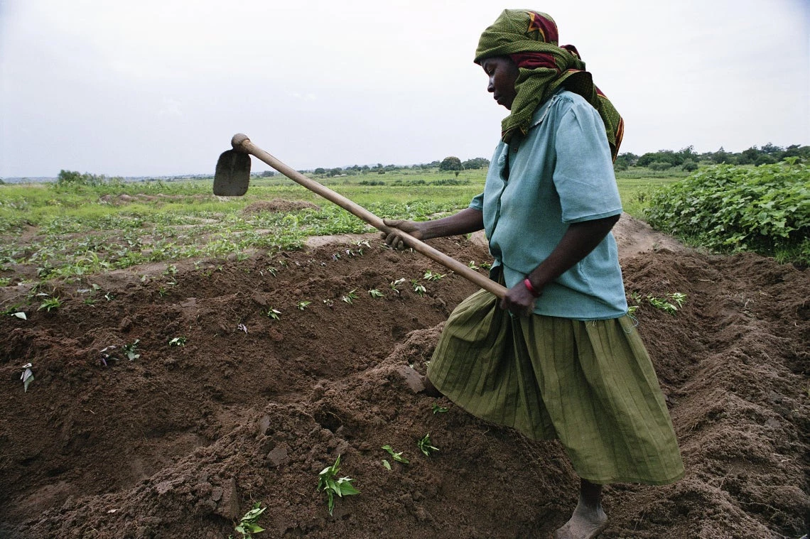 Fertilizer prices have skyrocketed and remain volatile.