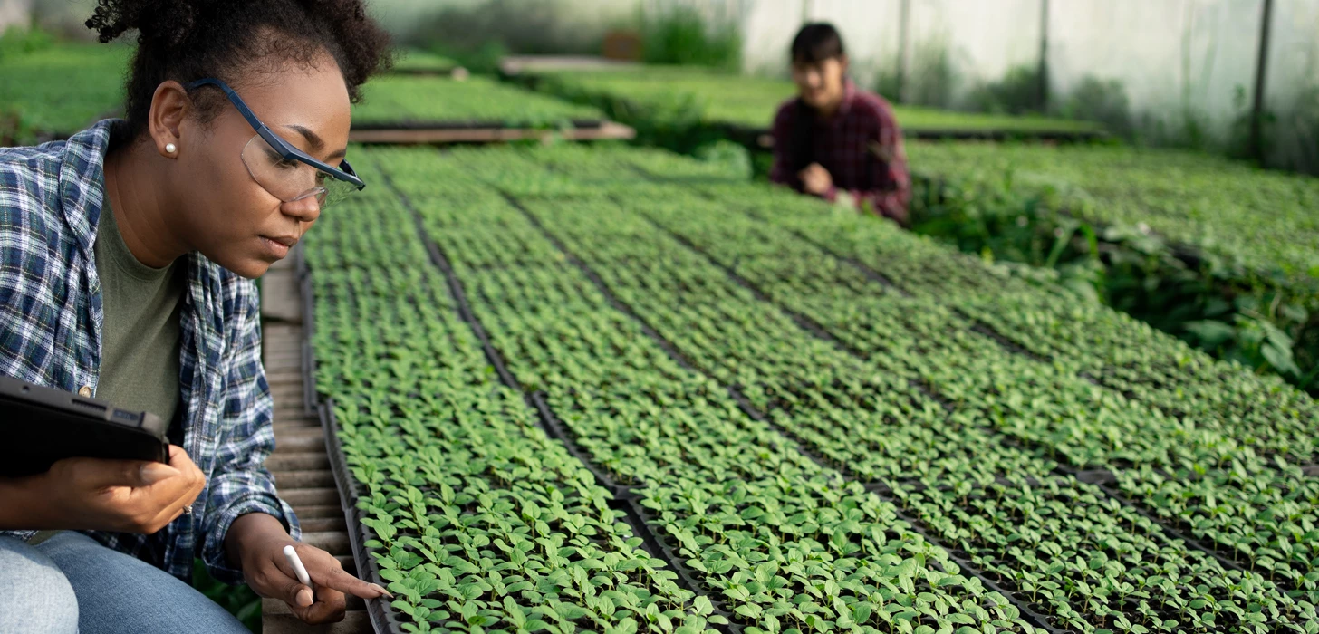 AgriConnect: Feeding the Future, Creating Jobs