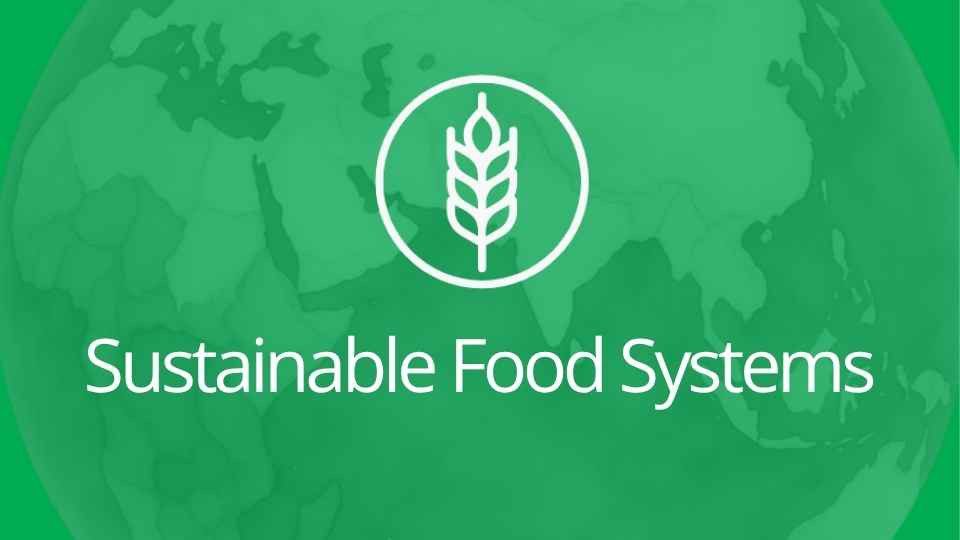 Outcomes Indicators | Sustainable Food Systems