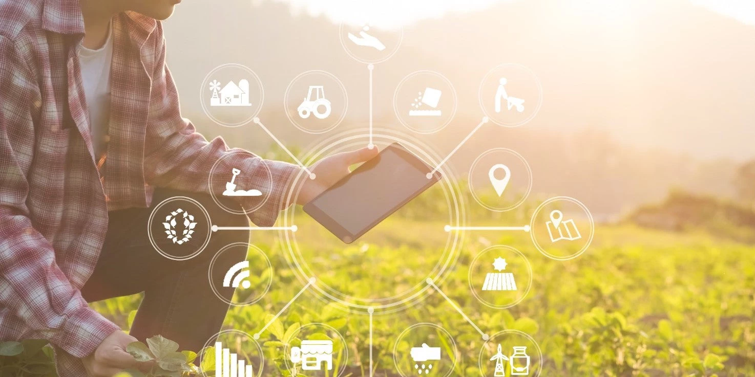 Pertanian digital berpotensi menciptakan perubahan bagi sektor pertanian di Indonesia 