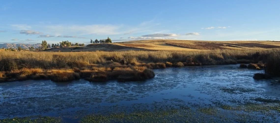 Momentum is building for making nature-based solutions a core part of water management across Latin America.