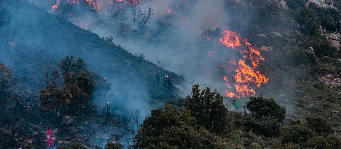 A forest fire burns in Bouïra, Algeria.