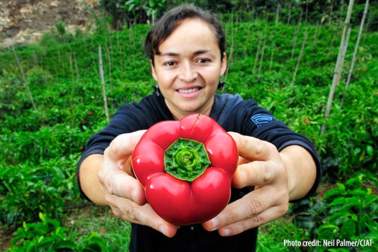 Future of Food: A Conversation about Shaping a Climate-Smart Food System