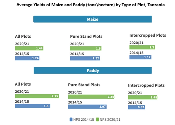 A chart showing Avergage Yielsd of Maize and Paddy by type of plot in Tanzania