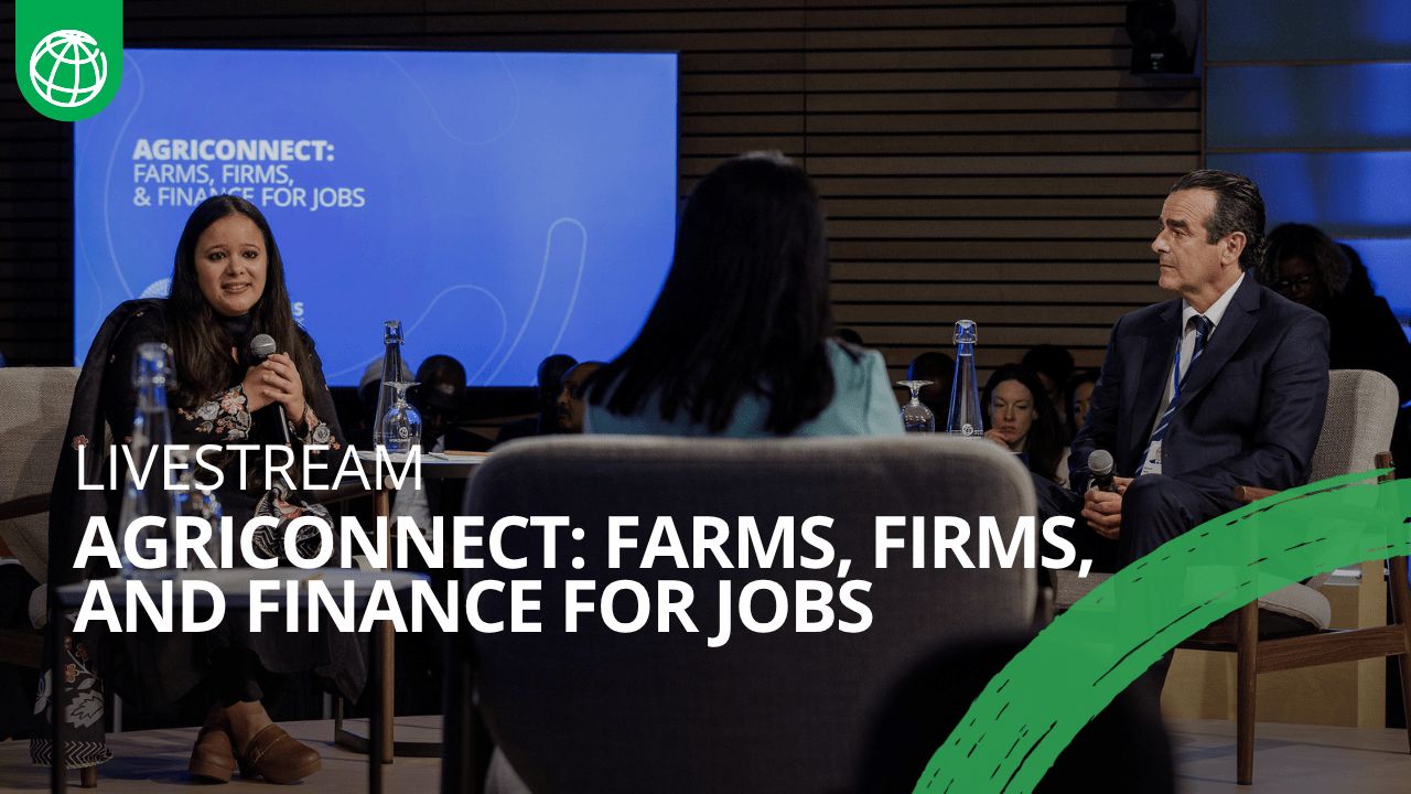 Strategic planning for climate resilience