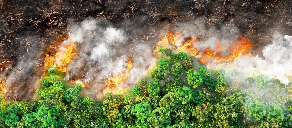 Fires, hurricanes, and the pandemic reflect the human-caused environmental damage that will keep compounding unless we act together to lighten our impact on the planet. 3D Illustration: © studiovin/Shutterstock