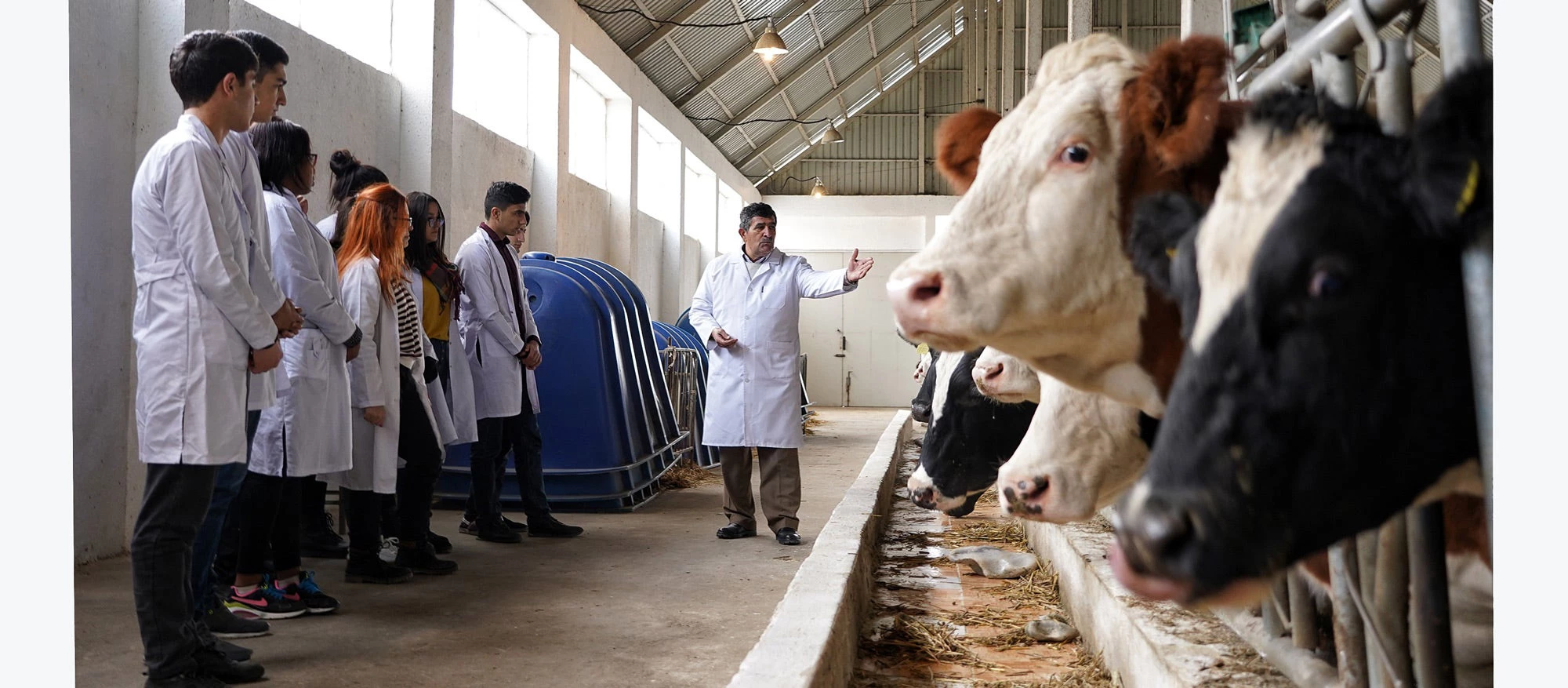 A veterinary and livestock training farm