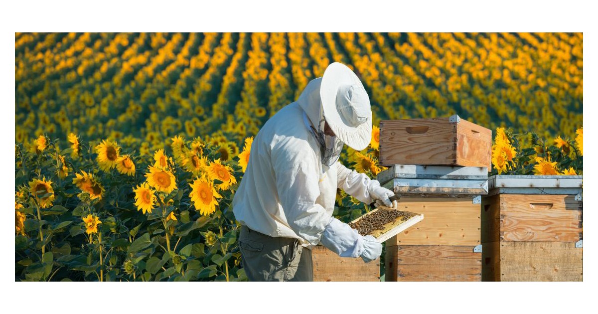 Banking On Biodiversity