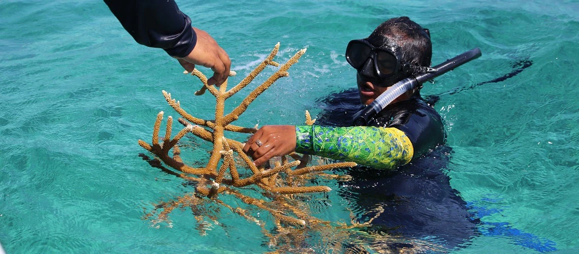 A diver in Belize handing over a coral to a person on a boat.