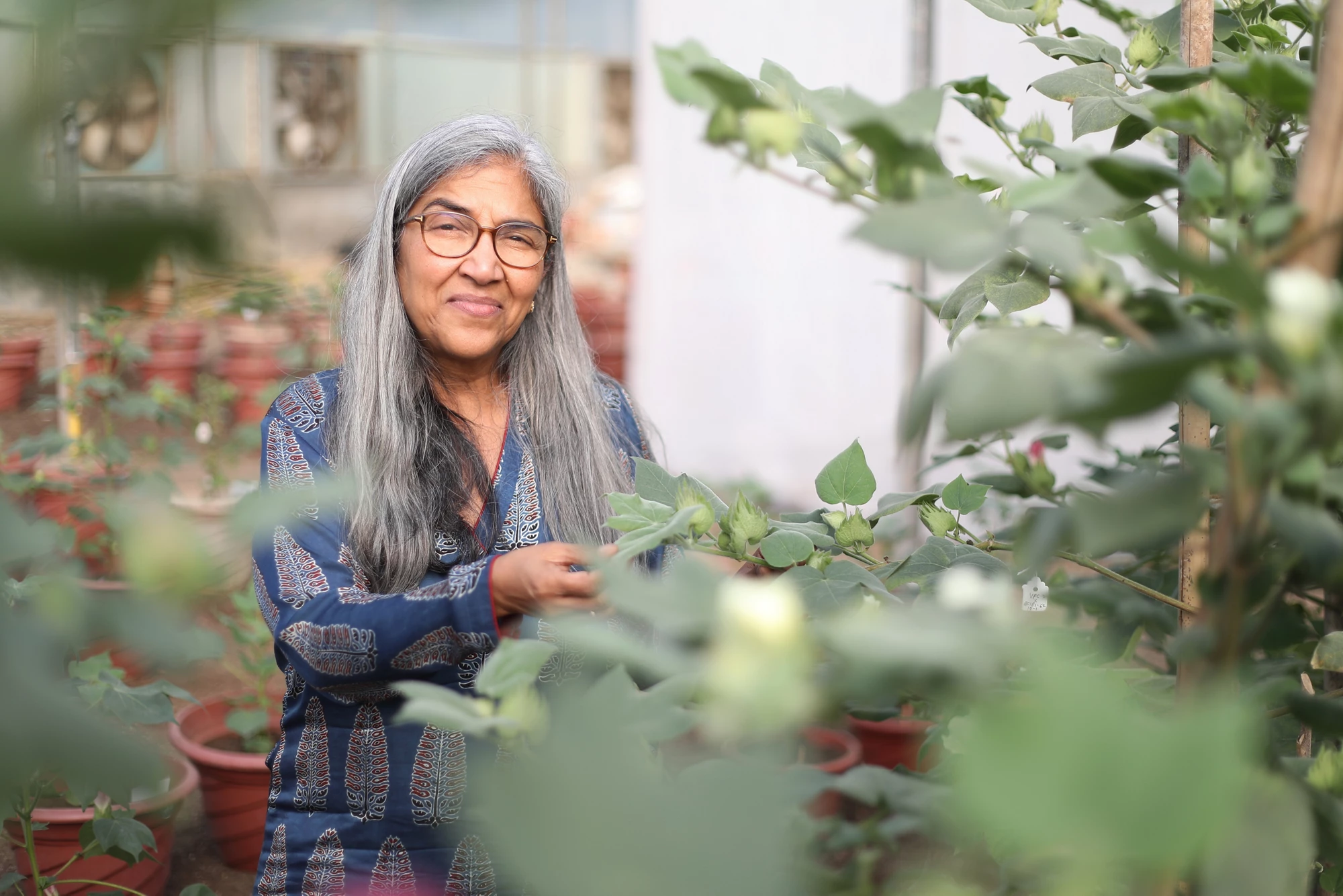 Building Legacies, from One Island Nation to Anothe