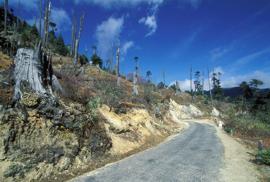 Bhutan Road