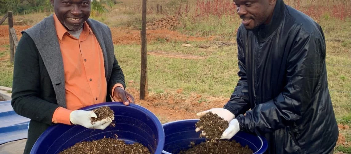 Benoit and Herve, two refugees from the Democratic Republic of Congo who live in Tongogara refugee camp in Zimbabwe, show black soldier fly larvae.